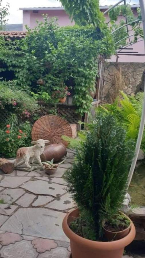 Tamar Guest House Ґорі Екстер'єр фото